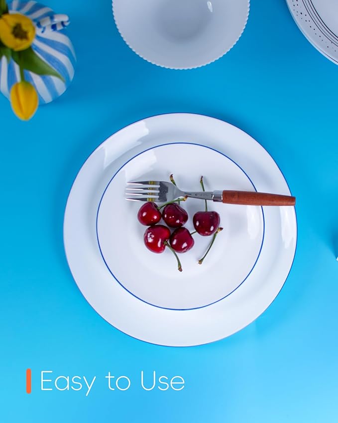 10.5 inch Dinner Plate Set of 6, Lightweight Round Opal Glass Dinnerware Plates, Dishwasher and Microwave Safe, Hand Painted Navy Blue Rim