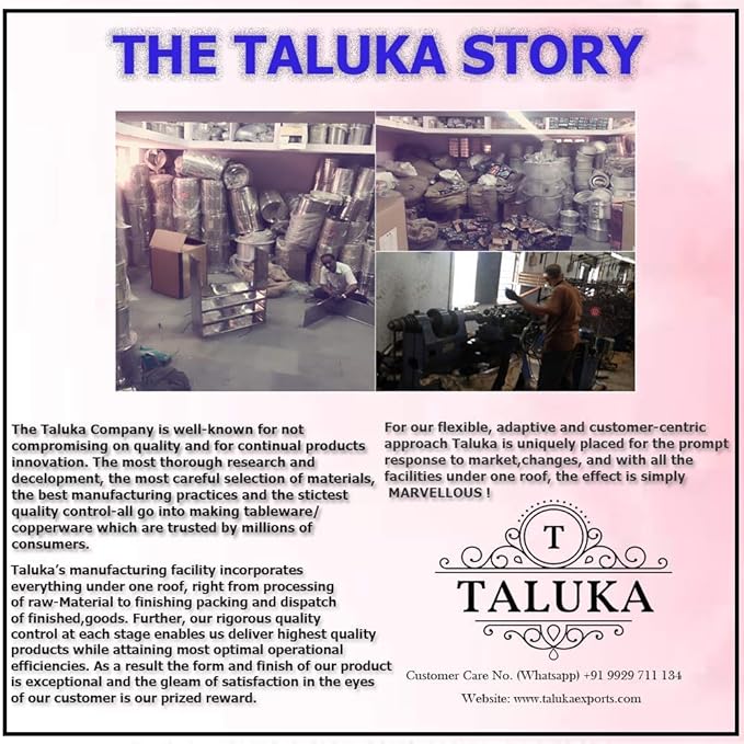 Taluka Stainless Steel Coffee Mug Double Wall Insulated Tea Cup With Handle For Camping Travel Pack Of 2