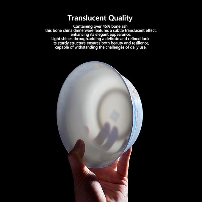 Bone China Plates and Bowels,12-Pieces Dinnerware Sets, Highly Chip and Crack Resistant, Dishwasher & Microwave Safe Dishes Set, Dense and Translucence