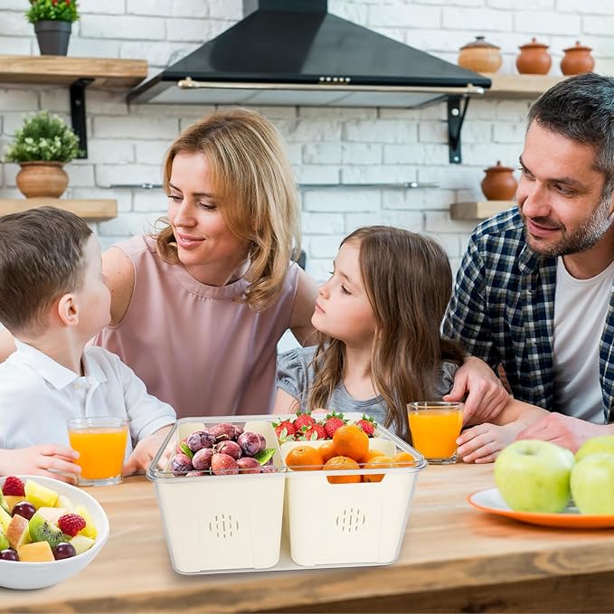 shopwithgreen Storage Containers for Fridge with Lid and Handle, Portable Food Box Container with 3 Removable Colanders, Fresh Produce Saver for Fruit, Vegetable, Refrigerator, Kitchen, Home, Picnic