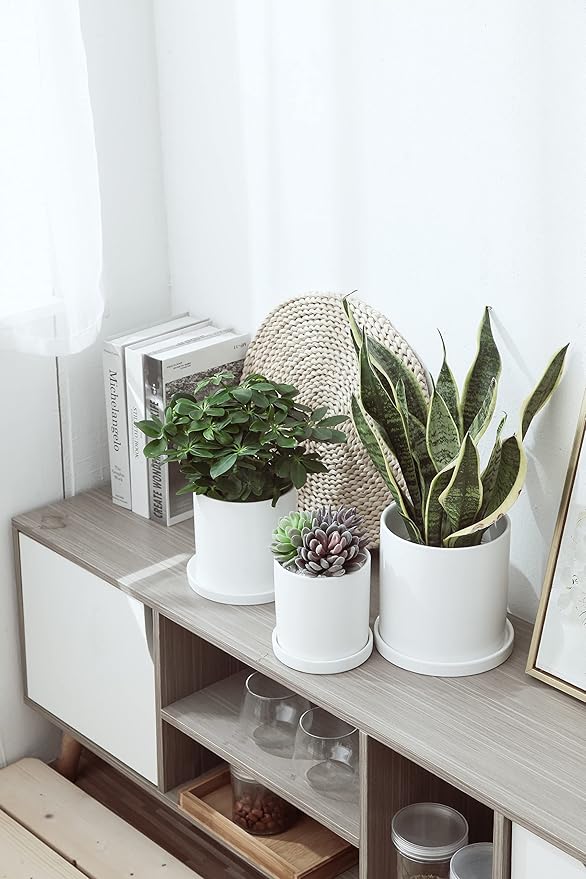 4 inch Matte White Ceramic Plant Saucer (4 Pack)-Ceramic Drainage Tray for Plant Pot-Planter Saucers 4 5 6 7 8 9 10 11 12 13 14 Inch