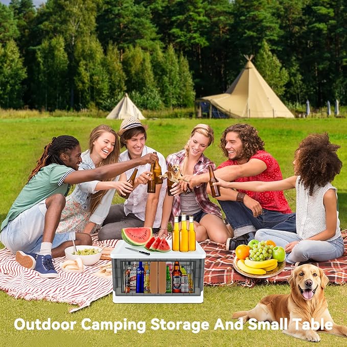 Storage Bin, Cabinet with Lids, 8.4 Gallon Capacity (Per One), 2 Pack, With Double Door and Locks, Foldable, Transparent, For Toys, Cloth, Books