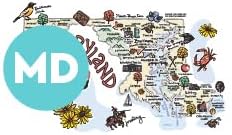 Swig Life 40oz Mega Mug, 40oz Tumbler with Handle and Straw, Extra Large Insulated Tumblers, Cup Holder Friendly Travel Mug (Maryland)