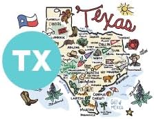 Swig Life 40oz Mega Mug, 40oz Tumbler with Handle and Straw, Extra Large Insulated Tumblers, Cup Holder Friendly Travel Mug (Texas)