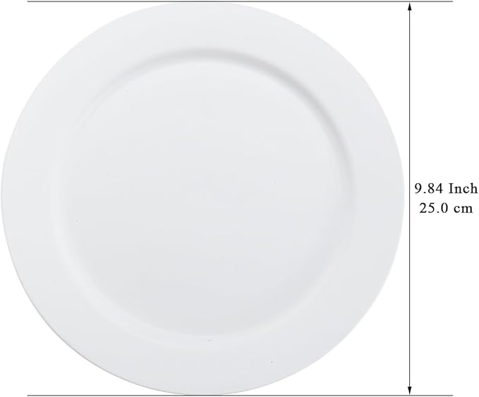 Berglander White Plastic Plates Set of 8 Pieces 10", Reusable Flat Dinner Plates, Salad Plates, Pasta Bowls, Dishes Set Easy to Carry for Home, Garden, Picnic, Camping, Outdoor