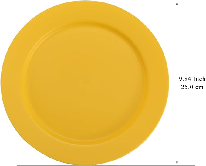 Berglander Plastic Plates Set of 8 Pieces 10", Mutil Color Reusable Flat Dinner Plates, Salad Plates, Pasta Bowls, Dishes Set Easy to Carry for Home, Garden, Picnic, Camping, Outdoor