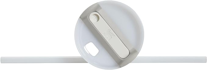 STANLEY Quencher H2.0 Tumbler with Handle and Straw 30 oz | Flowstate 3-Position Lid | Cup Holder Compatible for Travel | Insulated Stainless Steel Cup | BPA-Free | Ash