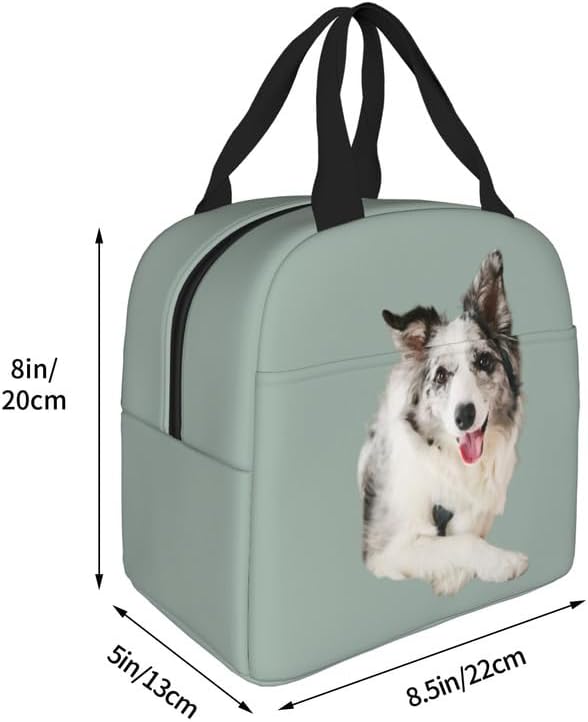 Personalized Pet Photo Lunch Bag, Custom Pet Lunch bag, Customizable Insulated Neoprene Cute Dog and Cat Print Portable Lunch Bag with Zipper, Cute Funny Reusable Lunch Box Container for Pet Lovers