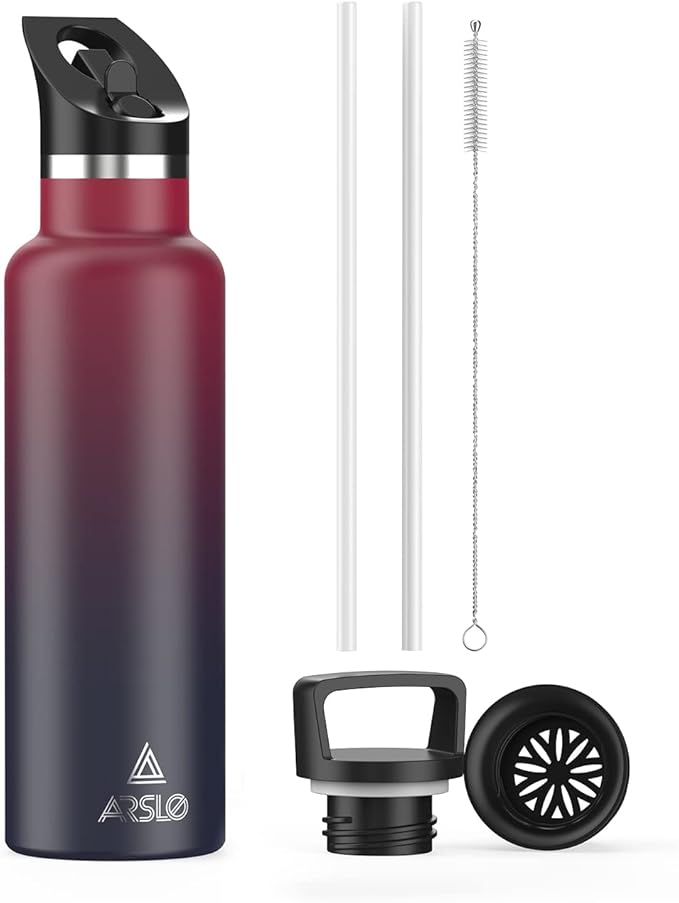 Stainless Steel Double Wall Water Bottles, Vacuum Insulated Bottle With Straw Lid, Insulated Water Bottle Keeps Water Cold for 24 Hours, Hot for 12 Hours, Hiking, Sports