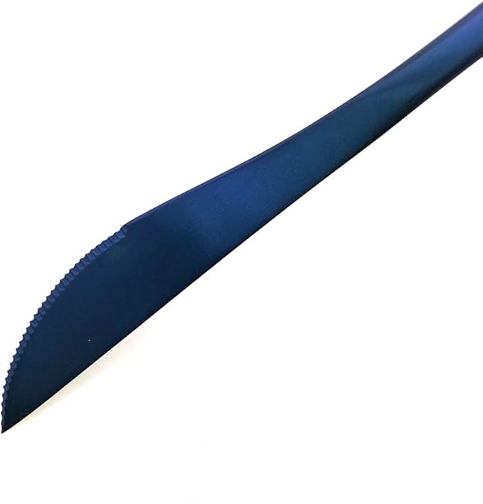 20-Pieces Luxury Blue 18/10 Stainless Steel Flatware Set, Matte Finish, Service for 4