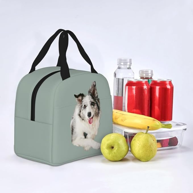 Personalized Pet Photo Lunch Bag, Custom Pet Lunch bag, Customizable Insulated Neoprene Cute Dog and Cat Print Portable Lunch Bag with Zipper, Cute Funny Reusable Lunch Box Container for Pet Lovers