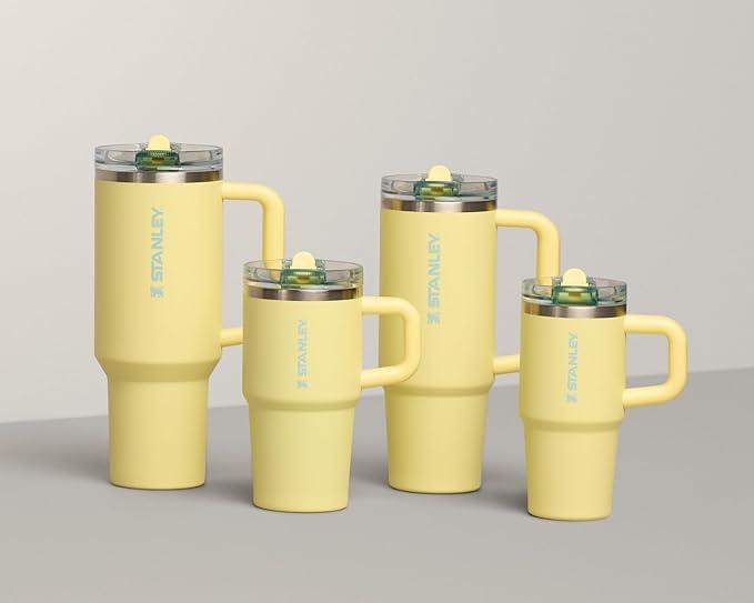 STANLEY Quencher ProTour Flip Straw Tumbler with Leakproof Lid | Built-In Straw & Handle | Cupholder Compatible for Travel | Insulated Stainless Steel Cup | BPA-Free