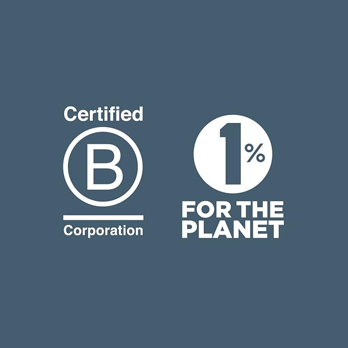 U Konserve Platinum Silicone Food Storage Bento Box Dual Seal Container - Leak Proof, Shatter Proof, Dishwasher Safe, Plastic Free - 8oz (Seafoam)