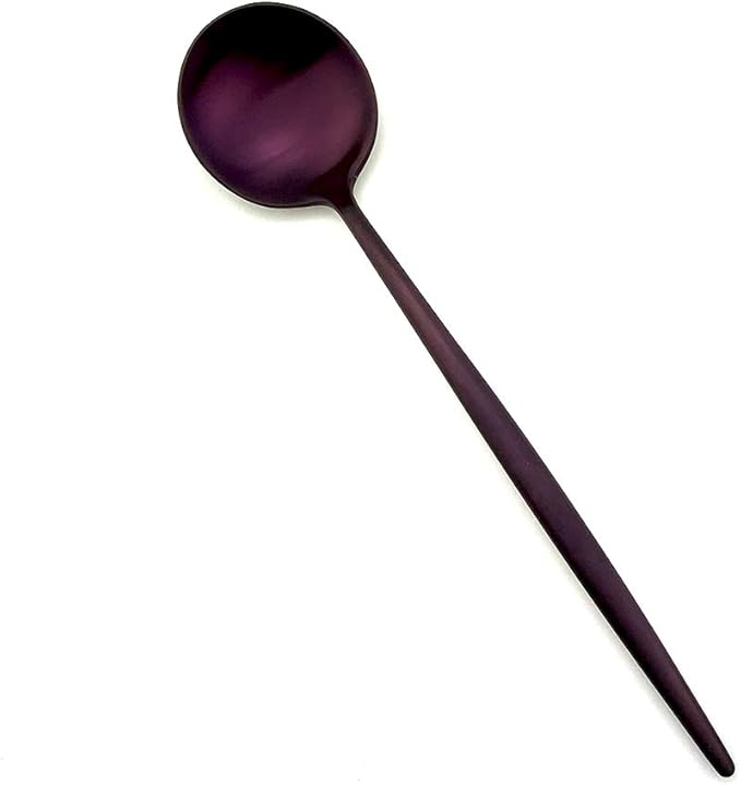 20-Pieces Luxury Purple 18/10 Stainless Steel Flatware Set, Matte Finish, Service for 4