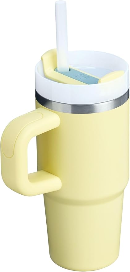 Stanley Quencher H2.0 Tumbler with Handle and Straw 14 oz | Flowstate 3-Position Lid | Cup Holder Compatible for Travel | Insulated Stainless Steel Cup | BPA-Free | Pomelo