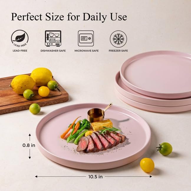 AmorArc Ceramic Plates Set of 6, Matte Glaze 8.0 Inch Dishes Set for Kitchen, Dessert,Salad,Appetizer, Small Dinner Plates, Microwave & Dishwasher Safe, Scratch Resistant, Matte Pink