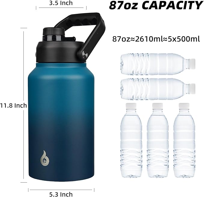 BJPKPK 87oz Insulated Water Bottle, Dishwasher Safe 2/3 Gallon Water Bottle with Ergonomic Handle, BPA Free Leak Proof Water Jug, Stainless Steel Metal Water Bottle with Anti-slip Bottom,Vast