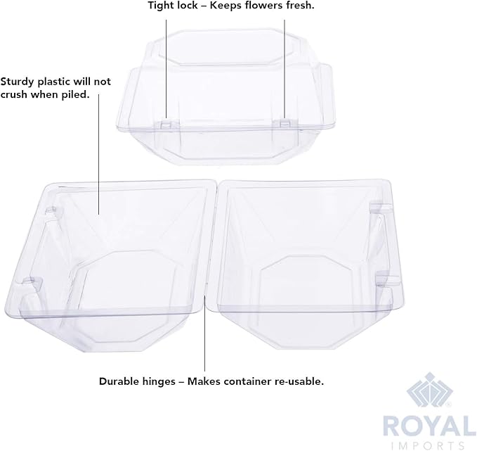 Royal Imports Clear Plastic Flower Box for Corsage, Boutonniere, Rose, Orchid Prom Wedding Craft Container 6x5x4-100 Pack