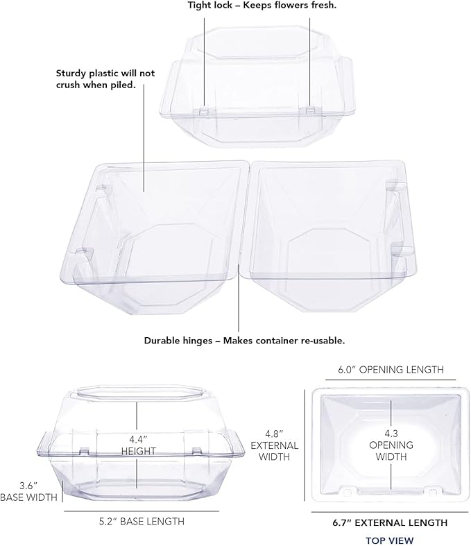 Royal Imports Clear Plastic Flower Box for Corsage, Boutonniere, Rose, Orchid Prom Wedding Craft Container 6x5x4-10 Pack