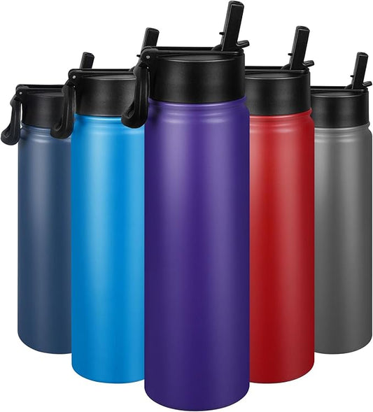 24 oz Insulated Water Bottle with Straw, Stainless Steel Double Wall Vacuum Thermos with Straw Lid Leak Proof, Wide Mouth Lid, Keep Cold and Hot