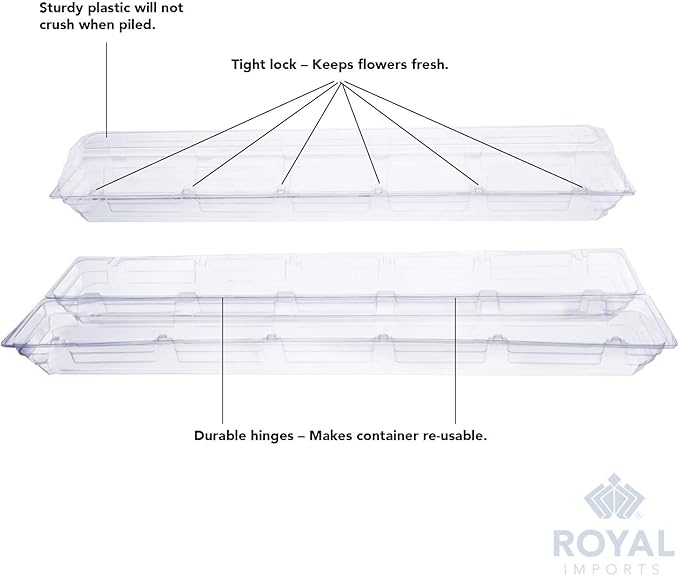 Royal Imports 100 Pack Clear Plastic Flower Box for Corsage, Boutonniere, Rose, Orchid Prom Wedding Craft Container 30x5x4