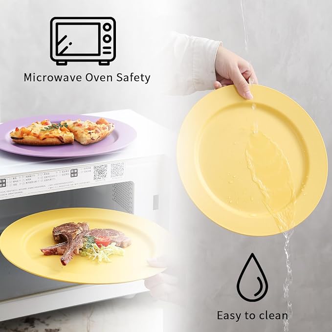 Berglander Plastic Plates Set of 8 Pieces 10", Mutil Color Reusable Flat Dinner Plates, Salad Plates, Pasta Bowls, Dishes Set Easy to Carry for Home, Garden, Picnic, Camping, Outdoor