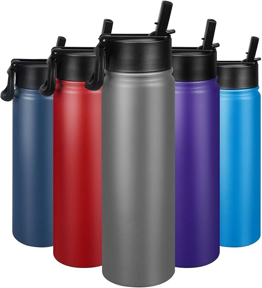 24 oz Insulated Water Bottle with Straw, Stainless Steel Double Wall Vacuum Thermos with Straw Lid Leak Proof, Wide Mouth Lid, Keep Cold and Hot