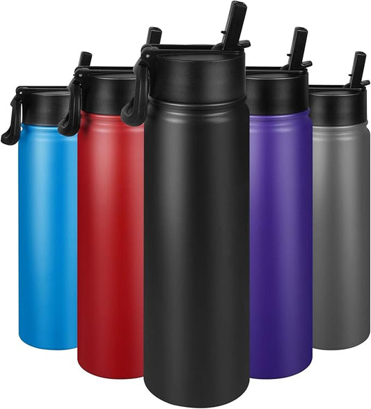 24 oz Insulated Water Bottle with Straw, Stainless Steel Double Wall Vacuum Thermos with Straw Lid Leak Proof, Wide Mouth Lid, Keep Cold and Hot