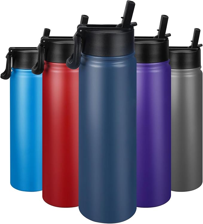 24 oz Insulated Water Bottle with Straw, Stainless Steel Double Wall Vacuum Thermos with Straw Lid Leak Proof, Wide Mouth Lid, Keep Cold and Hot