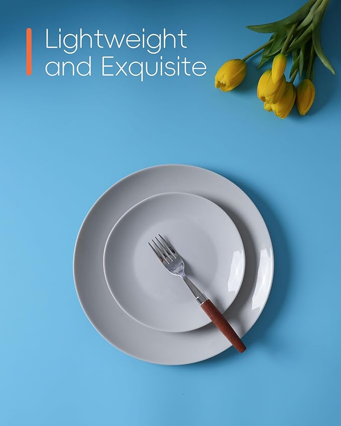 10.5 inch Dinner Plate Set of 6, Lightweight Round Opal Glass Grey Dinnerware Plates, Dishwasher and Microwave Safe