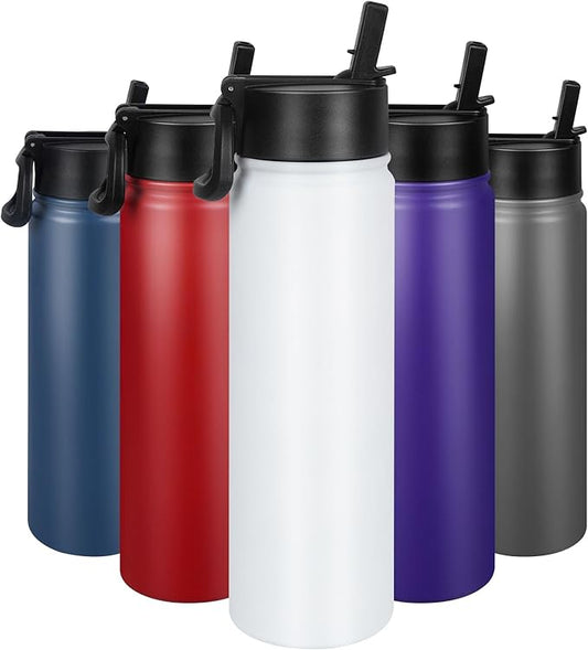 24 oz Insulated Water Bottle with Straw, Stainless Steel Double Wall Vacuum Thermos with Straw Lid Leak Proof, Wide Mouth Lid, Keep Cold and Hot