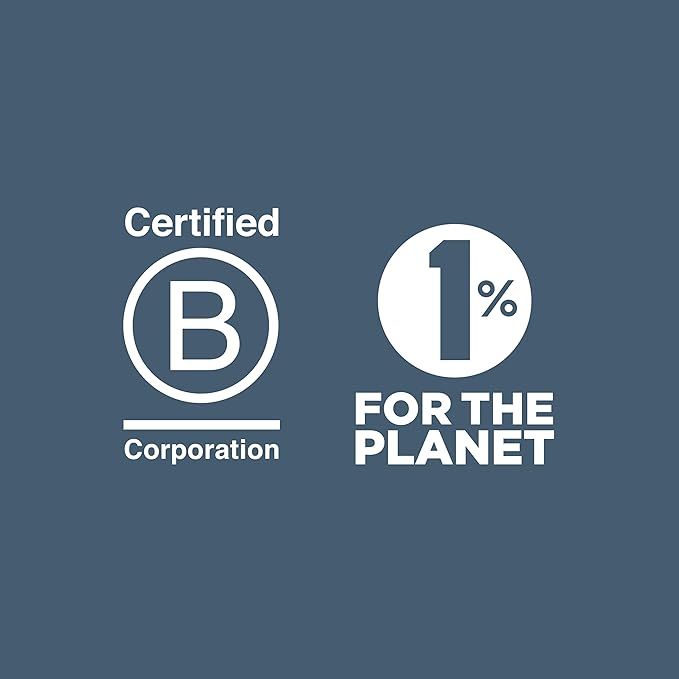 U Konserve Platinum Silicone Food Storage Bento Box Dual Seal Rectangle Container - Leak Proof, Shatter Proof, Dishwasher Safe, Plastic Free - 24oz (Seafoam)