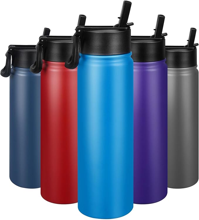 24 oz Insulated Water Bottle with Straw, Stainless Steel Double Wall Vacuum Thermos with Straw Lid Leak Proof, Wide Mouth Lid, Keep Cold and Hot