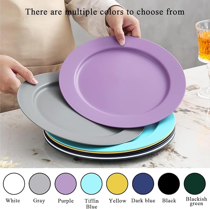 Berglander Plastic Plates Set of 8 Pieces 10", Mutil Color Reusable Flat Dinner Plates, Salad Plates, Pasta Bowls, Dishes Set Easy to Carry for Home, Garden, Picnic, Camping, Outdoor