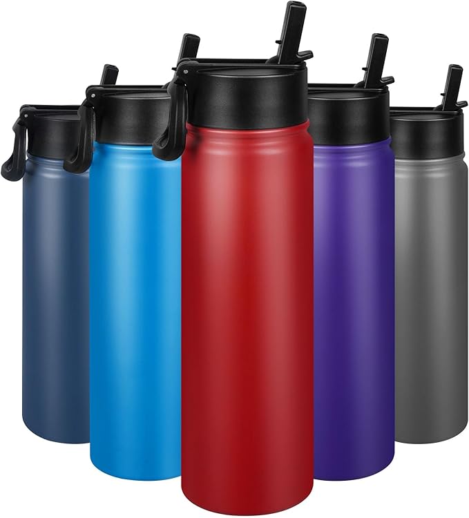 24 oz Insulated Water Bottle with Straw, Stainless Steel Double Wall Vacuum Thermos with Straw Lid Leak Proof, Wide Mouth Lid, Keep Cold and Hot