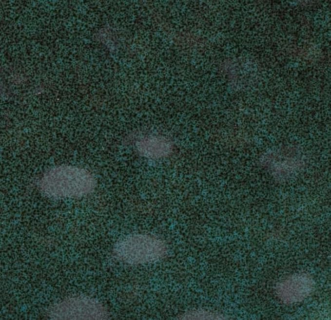 16-Piece Dinnerware Set Service for 4, Plates and Bowls Set, Microwave and Dishwasher Safe,Scratch Resistant, Green