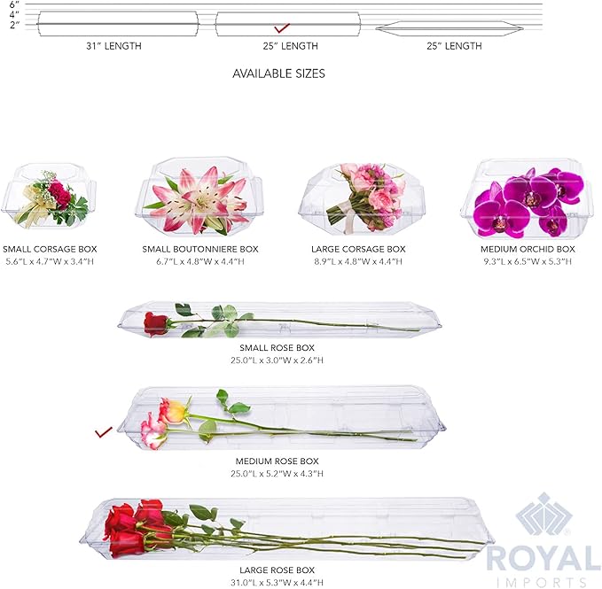 Royal Imports 50 Pack Clear Plastic Flower Box for Corsage, Boutonniere, Rose, Orchid Prom Wedding Craft Container 25x5x4