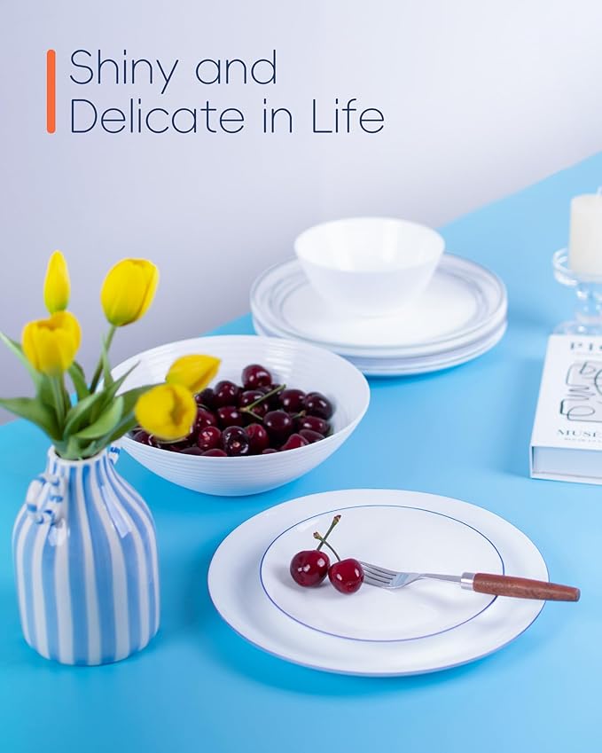 10.5 inch Dinner Plate Set of 6, Lightweight Round Opal Glass Dinnerware Plates, Dishwasher and Microwave Safe, Hand Painted Navy Blue Rim