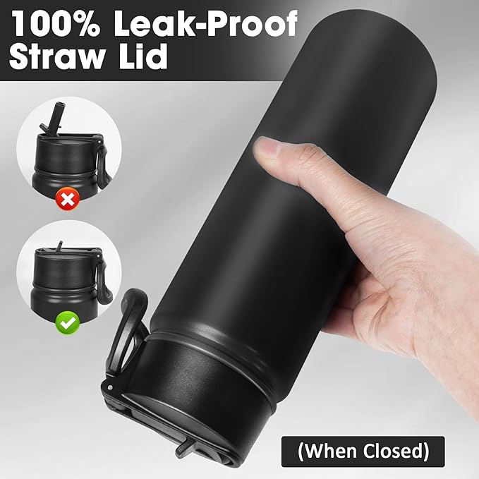 24 oz Insulated Water Bottle with Straw, Stainless Steel Double Wall Vacuum Thermos with Straw Lid Leak Proof, Wide Mouth Lid, Keep Cold and Hot
