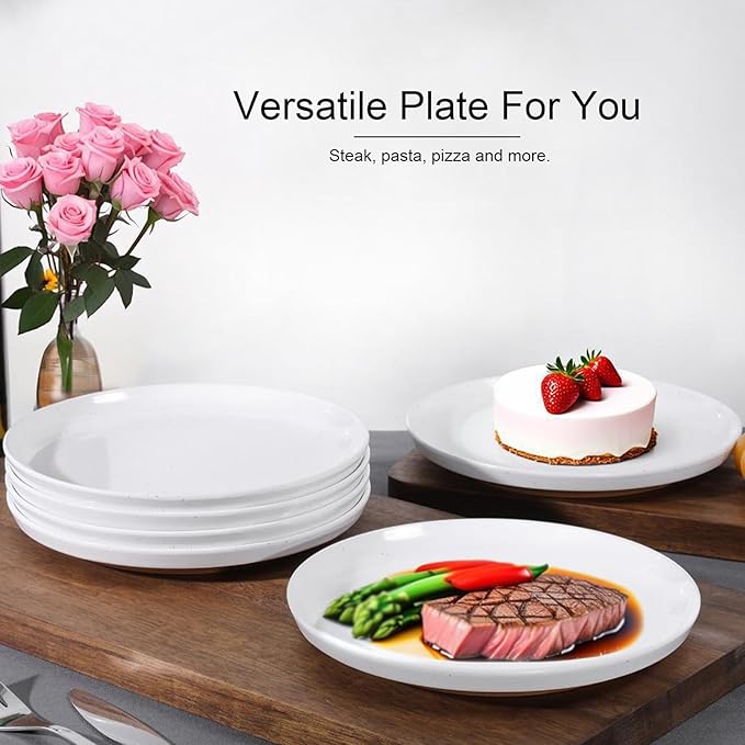 Webbylee 10.25" Melamine Dinner Plates Set of 6 - Durable Serving Dishes Perfect for Kitchen Outdoor Use, Dishwasher Safe,Scratch Resistant-White & Brown