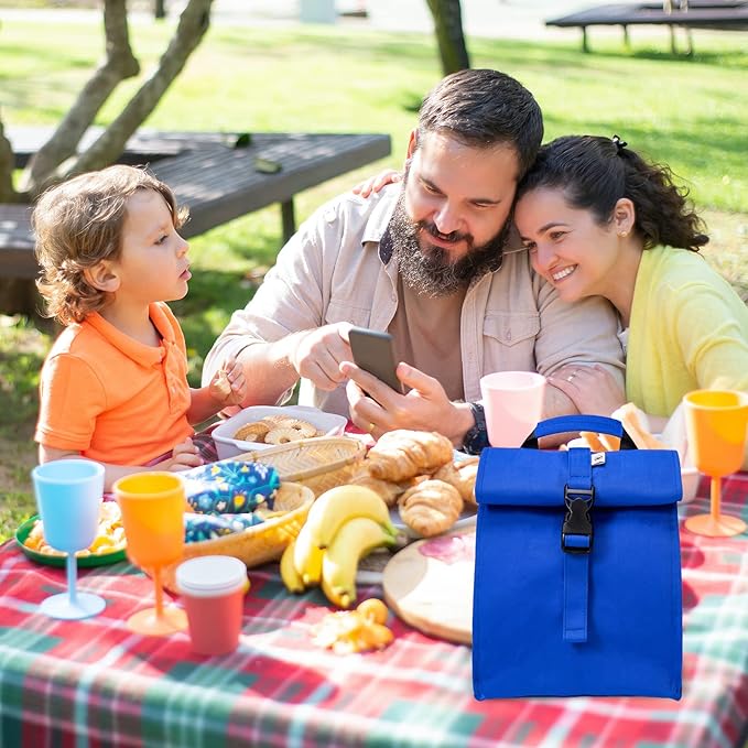 SUNNY BIRD Insulated Lunch Bag Rolltop Lunch Box Tote Lunchbox Bag for Women, Men, Adults and Kids (Blue)