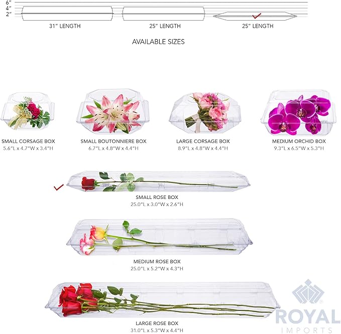 Royal Imports Clear Plastic Flower Box for Corsage, Boutonniere, Rose, Orchid Prom Wedding Craft Container 24x2.5x2.5-50 Pack