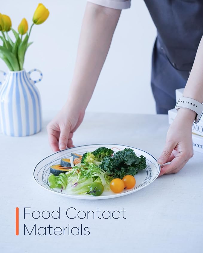 10.5 inch Dinner Plate Set of 6, Lightweight Round Opal Glass Dinnerware Plates, Dishwasher and Microwave Safe, Blue Modern Geometric Design