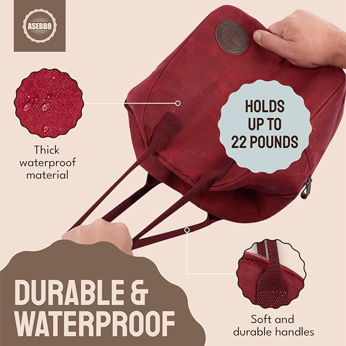 ASEBBO Insulated Lunch Bag for Women & Men (Passion Red)