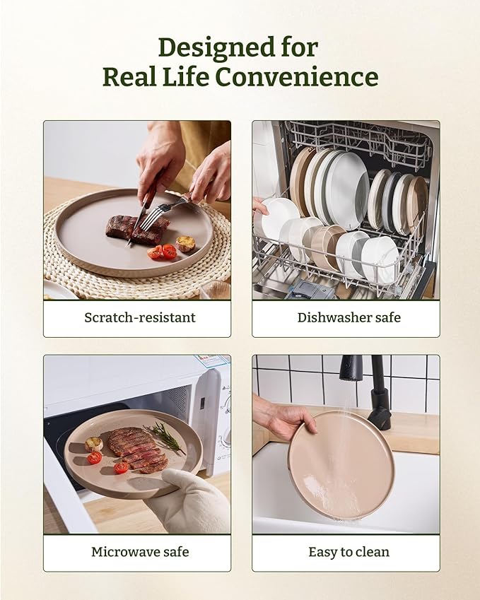 Famiware Nebula Plates and Bowls Set, 12 Pieces Dinnerware Sets, Dishes Set for 4, Cinnamon Brown