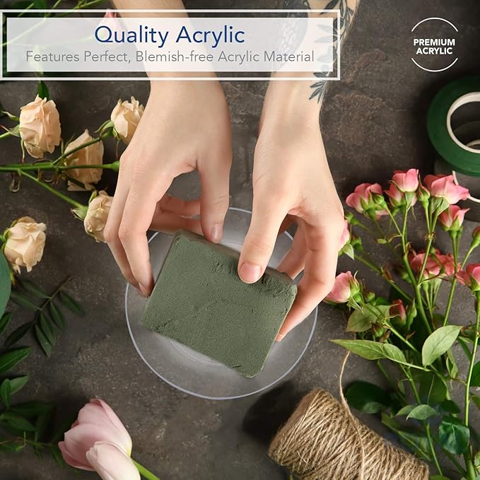 Royal Imports 9" Clear Plastic Saucer Plant Drip Tray, Low Pie Plate, Floral Flower Dish, Wedding, Party, Home and Holiday Decor, 6 Pack