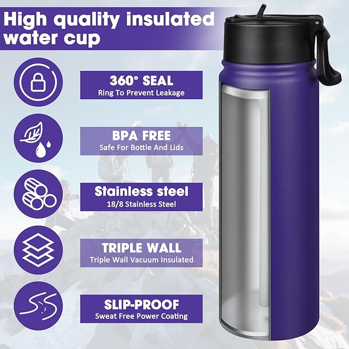 24 oz Insulated Water Bottle with Straw, Stainless Steel Double Wall Vacuum Thermos with Straw Lid Leak Proof, Wide Mouth Lid, Keep Cold and Hot