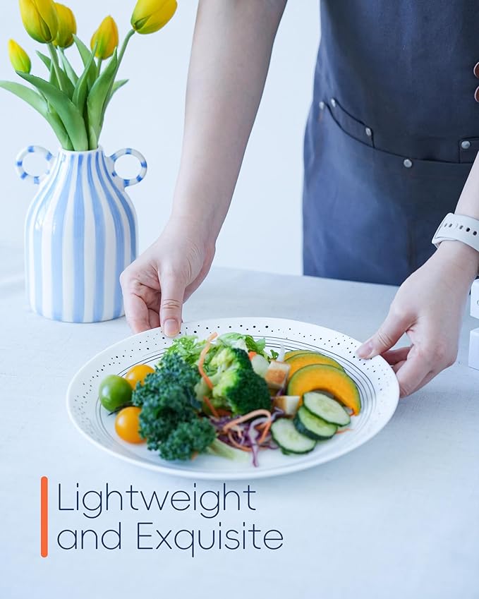 10.5 inch Dinner Plate Set of 6, Lightweight Round Opal Glass Dinnerware Plates, Dishwasher and Microwave Safe, Black Modern Speckled Design