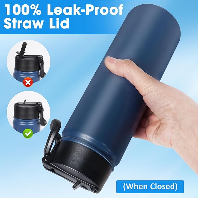 24 oz Insulated Water Bottle with Straw, Stainless Steel Double Wall Vacuum Thermos with Straw Lid Leak Proof, Wide Mouth Lid, Keep Cold and Hot