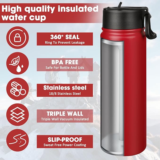 24 oz Insulated Water Bottle with Straw, Stainless Steel Double Wall Vacuum Thermos with Straw Lid Leak Proof, Wide Mouth Lid, Keep Cold and Hot
